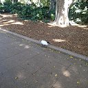 ���� ���, ������� - ��������� 31 ������ 2017 � ������ ���� ����������