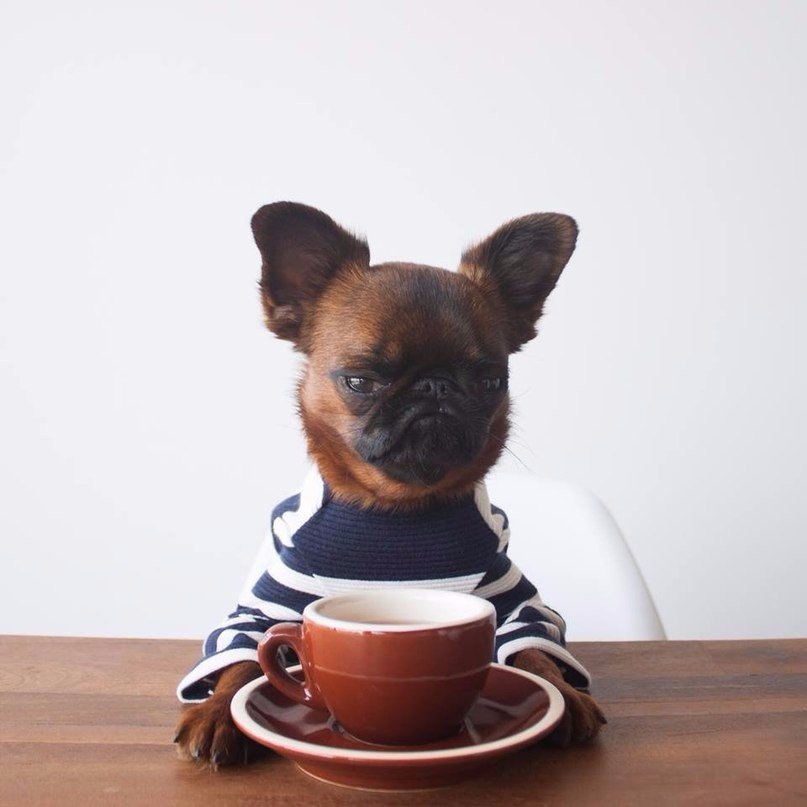 ��������� ������.