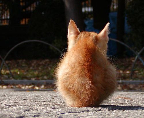  -  - 25  2016  08:31