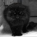 ���� �����., ������ - ��������� 27 ������� 2016 � ������ ������ ��������