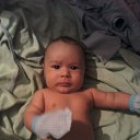 ���� ��������, �������� - ��������� 29 ������� 2016 � ������ ���� ����������