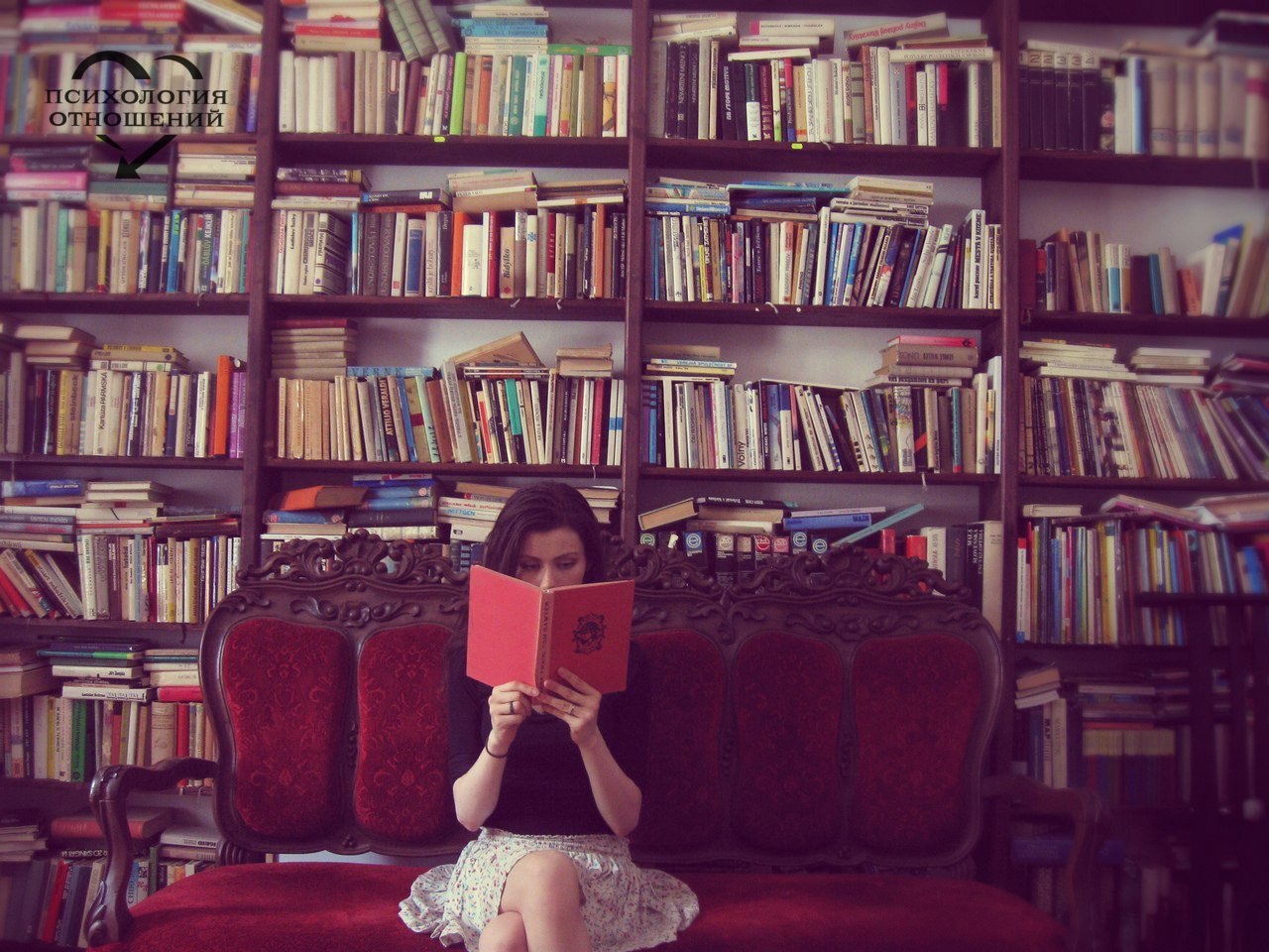 Девочка читала интересную книгу. Девушка с книгой. Девушка в библиотеке. Девушка с книжкой. Фотосессия с книгой.