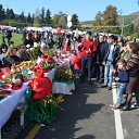  ,  -  14  2016       ̻