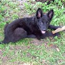 ���� �� ������� ������ ��������