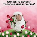 ���� ���������� �, �������, 62 ���� - ��������� 24 ������� 2017 � ������ ������� ��������