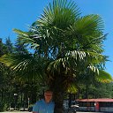 ���� ���, ������, 43 ���� - ��������� 21 �������� 2016 � ������ ���� ����������