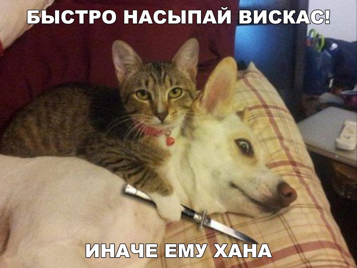    :D - 23  2016  03:01