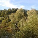 ���� �����, ���, 67 ��� - ��������� 12 ������ 2016 � ������ ���� ���� ������