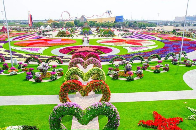 #Dubai Miracle Garden -      , # - 2