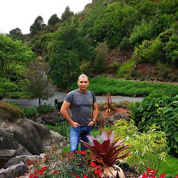 Sem, 42, 