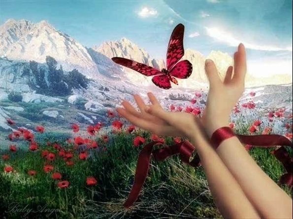 Alex Kos.*ЖИЗНЬ — БУМЕРАНГ. К тому ведется:Что отдаете, то и вернется.То, что посеешь — то и ... - 3