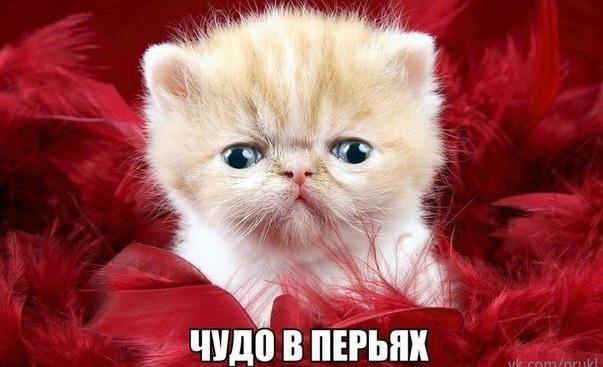    - 5  2016  16:17