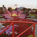 ���� Vladimir, ��������� - ��������� 4 ������ 2016 � ������ �������� 2 2016�.�