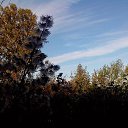 ���� ����, ���������, 67 ��� - ��������� 3 ������ 2016 � ������ ���� ����������