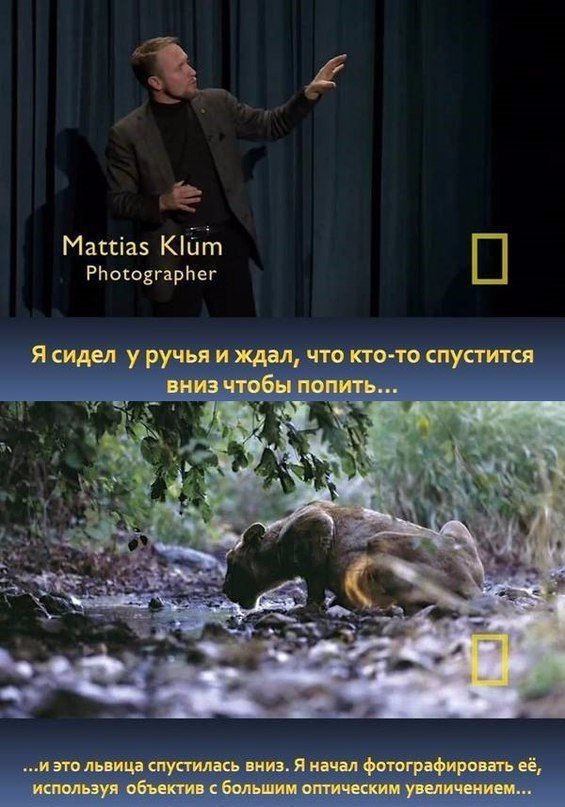 Поразительная история. Mattias a Klum. Mattias a Klum Зимбабве.