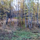 ���� Alserg, ����� - ��������� 6 ������� 2016 � ������ ������ ��������