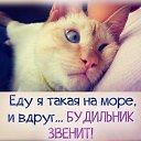 ���� �����, ������, 57 ��� - ��������� 6 ����� 2017 � ������ �������