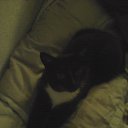 ���� �����, ������, 58 ��� - ��������� 4 ����� 2017 � ������ ���� ����������