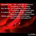 ���� ����, ���������, 53 ���� - ��������� 1 ������ 2016 � ������ ������ ��������