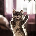 ���� ��������, ������, 69 ��� - ��������� 25 ����� 2017 � ������ ���� ����������
