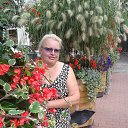 ���� Margarit@, ���� - ��������� 28 �������� 2016 � ������ ���� ����������