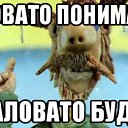 ���� ������, ����� - ��������� 24 ������� 2016 � ������ ������ ��������