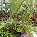 ���� ������, �����-���������, 55 ��� - ��������� 8 ������� 2016 � ������ ���� ����������