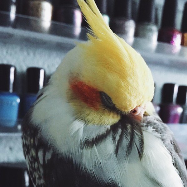   - 7  2016  10:23 - 4