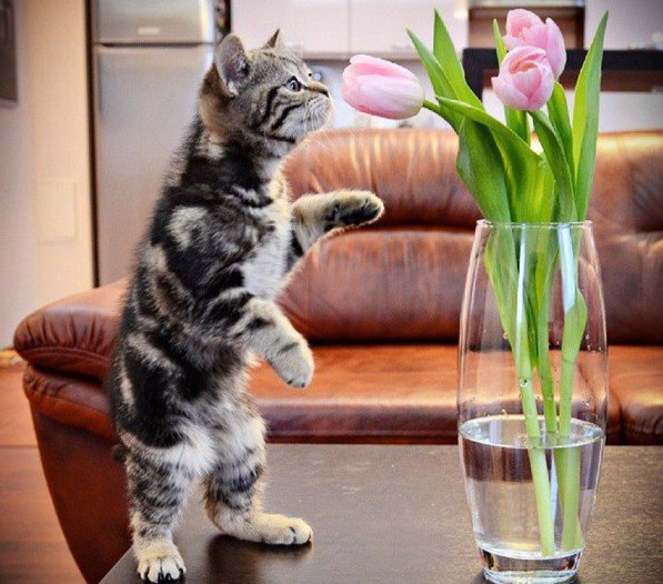 ���� �� ������ ����� ����� ��������� ���, �������� �� ������� ��� ������� ����������!