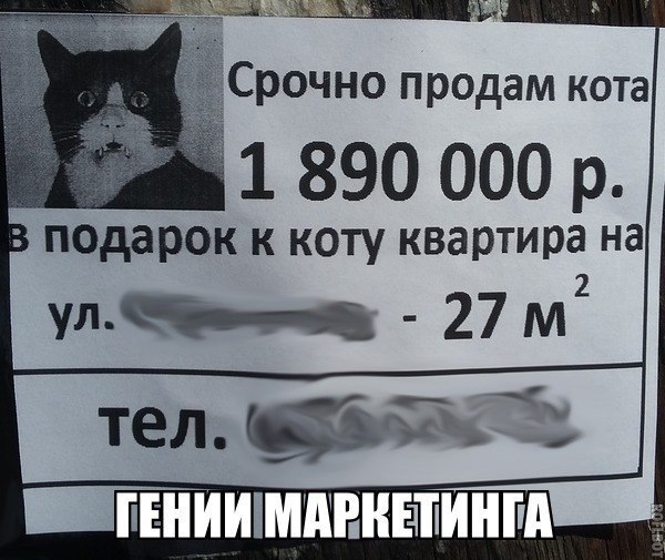  - 27  2017  13:46