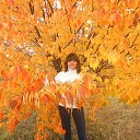 ���� Nelya, ������� - ��������� 7 ������� 2016 � ������ ���� ����������