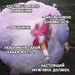 �������, �������, 56 ���