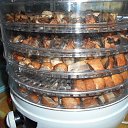 ���� ���������, ������, 54 ���� - ��������� 10 ������� 2016 � ������ ���� ����������