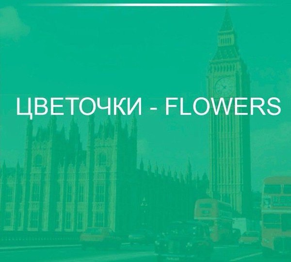 А сколько слов из этого списка знаешь ты? Aloe - Алоэ Amaryllis - Амариллис Anemone - Анемона Aster ...