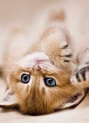   - 27  2016  10:15 - 3