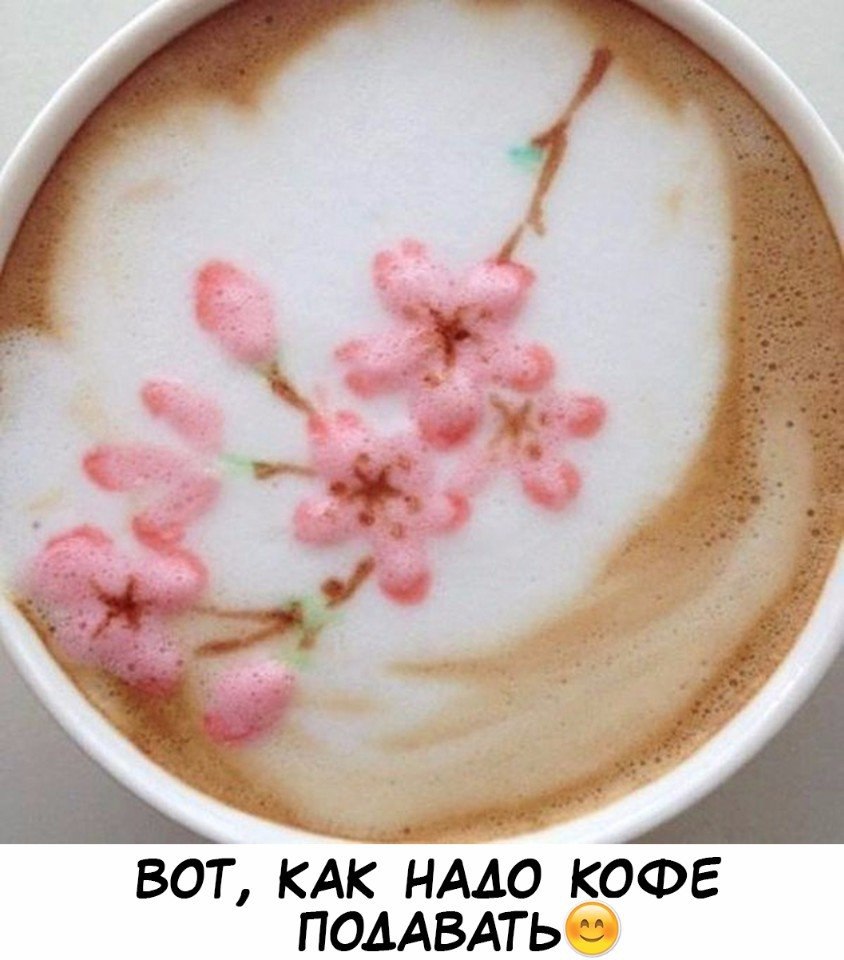 E s t h e t i q u e - 20  2017  19:19