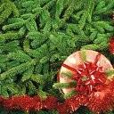 ���� ����� �������, ����, 57 ��� - ��������� 19 ������� 2016 � ������ ������ ��������