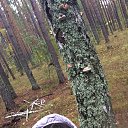 ���� ������, ���������, 47 ��� - ��������� 29 �������� 2016 � ������ ���� ����������