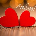 ���� ������, �����-��������� - ��������� 14 ������ 2016 � ������ ���� ����������