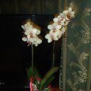 ���� �������, ������� - ��������� 18 ������� 2017 � ������ ���� ����������