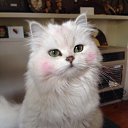 ���� ��������, ������, 29 ��� - ��������� 17 ������� 2017 � ������ ������ ��������