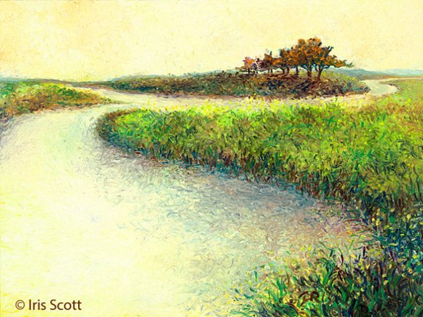    .     ,   (Iris Scott)  ... - 2