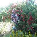 ���� �������, ������� - ��������� 17 ������� 2016 � ������ ���� ����������