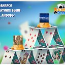 ���� A������, �����-���������, 67 ��� - ��������� 23 ������ 2016 � ������ �������� �������-�������