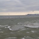12.02.2017�. �� ������� �2017���
