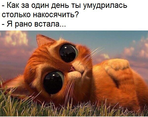       - 23  2017  14:25