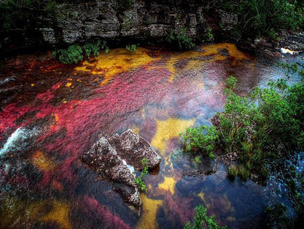 K-Kpc - o   .po o p -cc (Cao Cristales), ... - 3