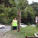 ���� ��������, �����, 55 ��� - ��������� 21 ����� 2017