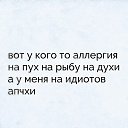 ���� �����, �����-��������� - ��������� 1 ������� 2017 � ������ ������ ��������