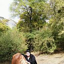 ���� �����, ���������, 41 ��� - ��������� 20 ������ 2016 � ������ ���� ����������